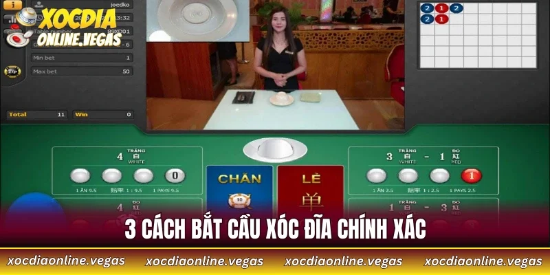 Cách Bắt Cầu Xóc Đĩa Chính Xác - Chia Sẻ 4 Mẹo Từ Cao Thủ 3 3 cách bắt cầu xóc đĩa chính xác