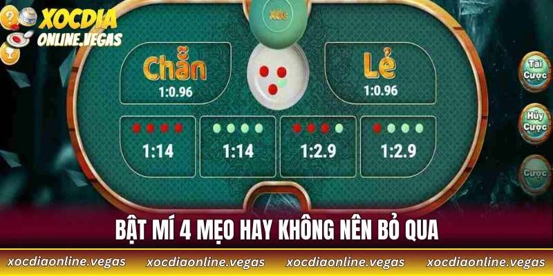 Cách Bắt Cầu Xóc Đĩa Chính Xác - Chia Sẻ 4 Mẹo Từ Cao Thủ 4 Bật mí 4 mẹo hay không nên bỏ qua