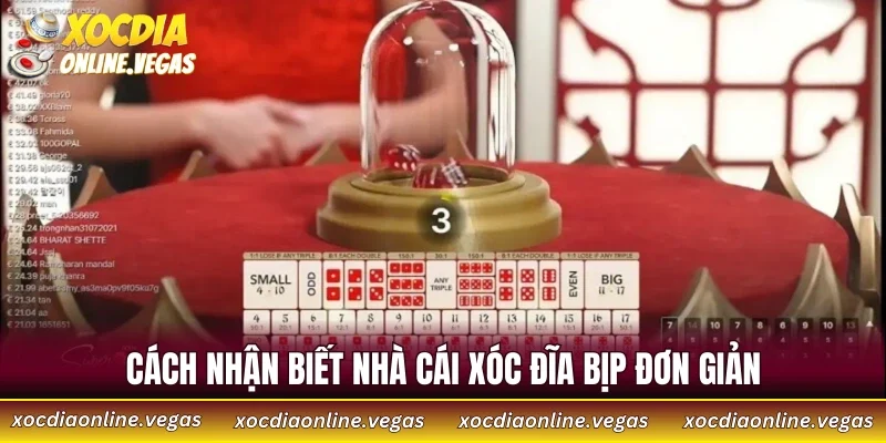 Cách Nhận Biết Nhà Cái Xóc Đĩa Bịp Và Bảo Vệ Tiền Cược 3 Cách nhận biết nhà cái xóc đĩa bịp đơn giản