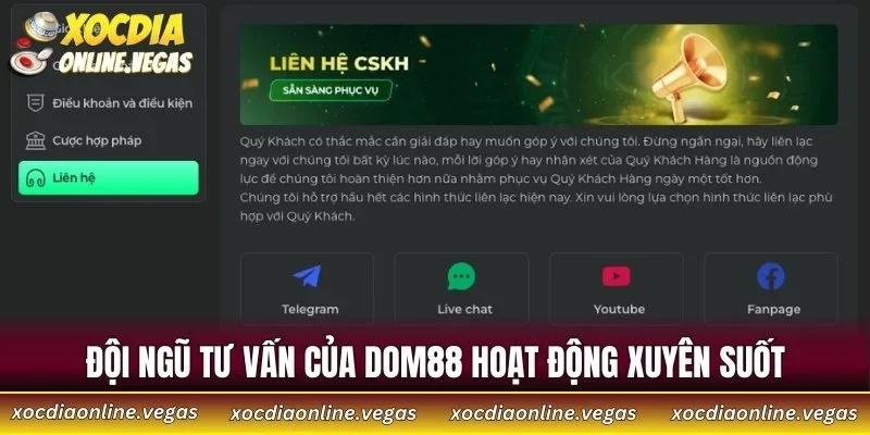 Đội ngũ tư vấn của DOM88 hoạt động xuyên suốt