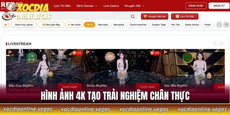 Hình ảnh 4K tạo trải nghiệm chân thực