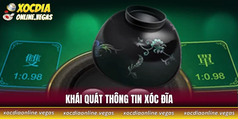 Top Những Sai Lầm Thường Gặp Và Cách Phòng Tránh 2 Khái quát thông tin xóc đĩa