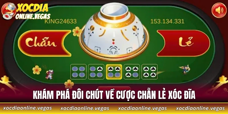 Khám phá đôi chút về cược chẵn lẻ xóc đĩa