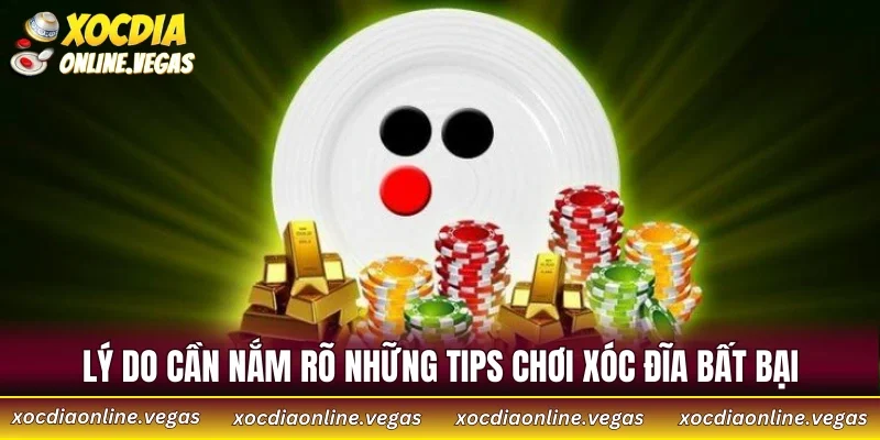 Lý do cần nắm rõ những tips chơi xóc đĩa bất bại