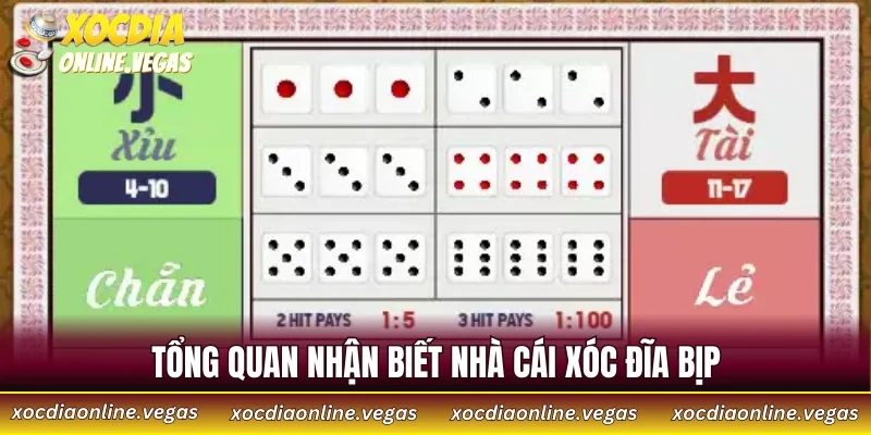 Cách Nhận Biết Nhà Cái Xóc Đĩa Bịp Và Bảo Vệ Tiền Cược 2 Tổng quan nhận biết nhà cái xóc đĩa bịp